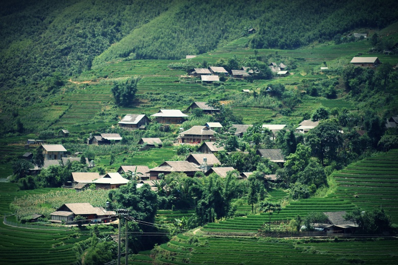 sapa