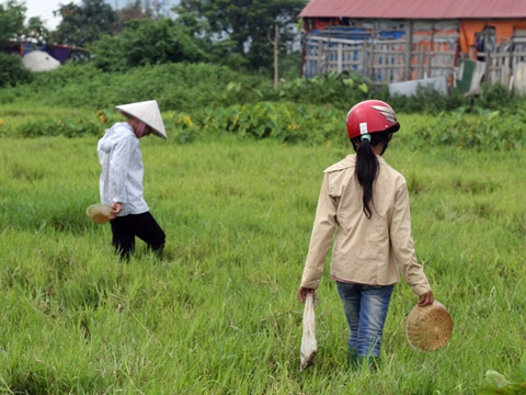 Hà Nội bắt đỉa bán cho Trung Quốc