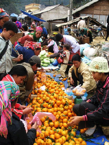 tả khấu nhin