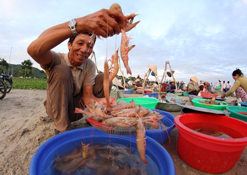 chợ cá thọ quang