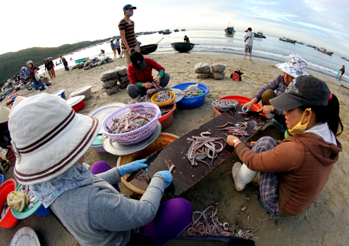 chợ cá thọ quang