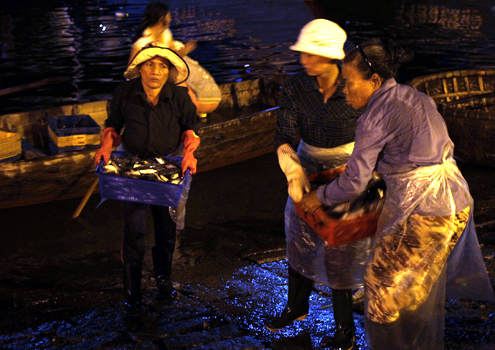 chợ cá thọ quang
